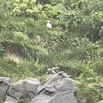 Photo taken by Cara W