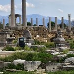 Photo taken by Rita W