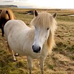 Photo taken by Laurence C