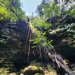 Photo taken by Lisa T