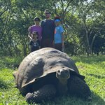 Photo taken by Narasimhachar P