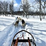 Photo taken by Ian A