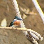 Photo taken by Bonnie Y