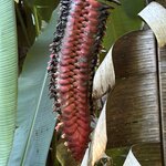 Photo taken by Ora Y