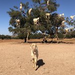 Photo taken by Anda P