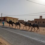 Photo taken by Beth M