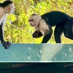 Photo taken by Ben B