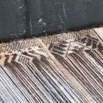 Photo taken by Nicolette S