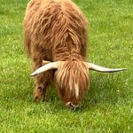 Photo taken by John K