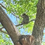 Photo taken by Patricia O