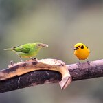 Photo taken by Jayme B