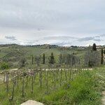 Photo taken by Martha M