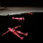 Photo taken by Nikki S