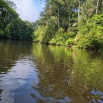 Photo taken by Tom B