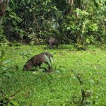 Photo taken by Jason C