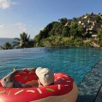 Photo taken by Beatrix K