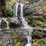 Photo taken by Carmen P