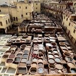 Photo taken by Thomas R