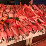 Photo taken by Cynthia T