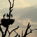 Photo taken by Kakoli K