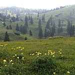 Photo taken by Shree L