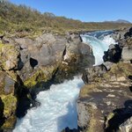 Photo taken by Janice R