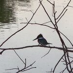 Photo taken by Adriene A