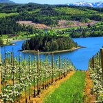 Photo taken by Linda M