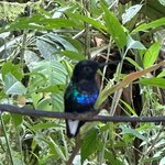 Photo taken by Mark A