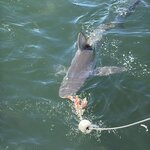 Photo taken by Martin D