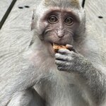 Photo taken by Mariah C