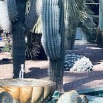 Photo taken by Betty A