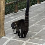 Photo taken by Ora Y