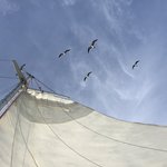 On Raggamuffin's sailboat | Photo taken by BRAD K