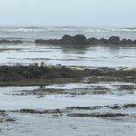 Photo taken by Sharnise H