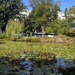 Photo taken by Iris W