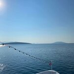 Photo taken by Colleen M