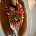 Photo taken by Kristin M