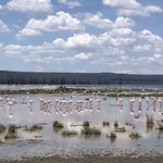 Photo taken by Virginia H