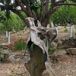 Photo taken by Lana P