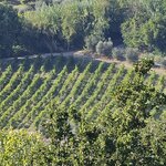 Photo taken by Douglas O