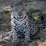 Photo taken by Matt W