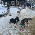 Photo taken by Jennifer D