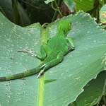 Photo taken by Chris H