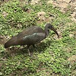 Photo taken by Michael L