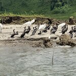 Photo taken by Kim L