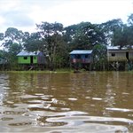 Houses near Leticia | Photo taken by Robert T
