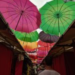 Photo taken by Martha V