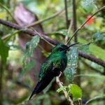 Photo taken by Jeffrey B