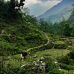 Photo taken by Jeroen v